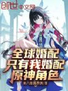全球婚配:只有我婚配原神角色