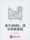 ����2008�����п���ϵͳ