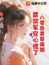 八零恶妻要离婚,禁欲军官心慌了